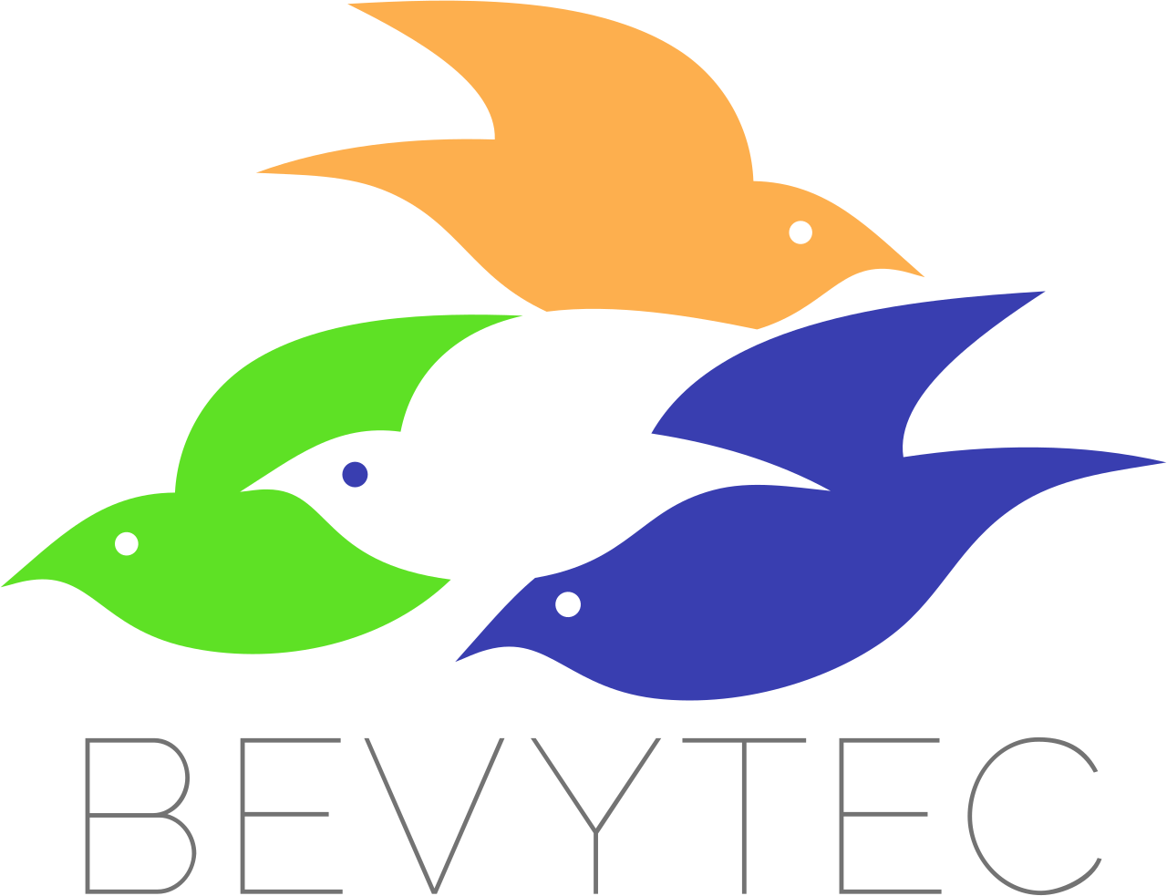 BEVYTEC full color logo